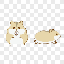15 transparent png illustrations and cipart matching your hamster. Hamster Png Images With Transparent Background Free Download On Lovepik Com