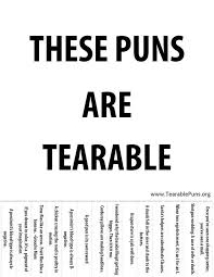 Time Flies Like An Arrow Fruit Flies Like A Banana Pun Pun Paragraph Ideas Joneaparks Puns Jokes Puns Funny Puns