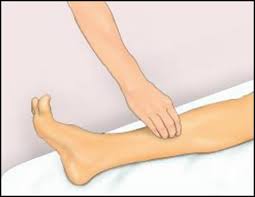 Image result for Fulcrum Test