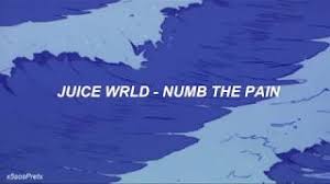 All rights to juice wrld.*double cup: Juice Wrld Numb The Pain Lyrics Espanol Youtube
