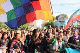 De convención constitucional a asamblea constituyente, organizándonos para la. Nos Queremos Plurinacionales Anred