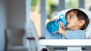 Can You Buy Pediasure With Ebt Food Stamps?