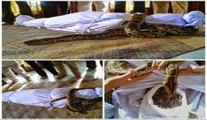 Tanah kubur episod 11 musim 13 27 febuari 2015. Astro Oasis Sahkan Gambar Mayat Dililit Ular Rakaman Salah Satu Babak Drama Tanah Kubur Pak Din