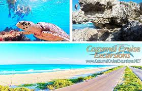 What To Do In Cozumel Best Things To Do In Cozumel Mexico Cozumel Mexico Cozumel Cozumel Cruise