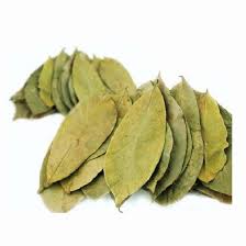 Many of us are familiar with soursop as a fruit. Natural Sun Dried Soursop Leaf For Tea 84 845 639 639 Whatsapp Buy Graviola Leaves Aka Guanabana Leaves Organic Soursop Leaves Product On Alibaba Com