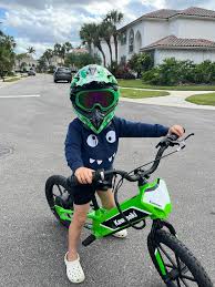 Kawasaki Elektrode Owners Group