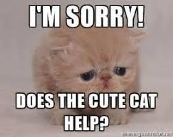 Best 21 I M Sorry Memes So Life Quotes Sorry Memes I M Sorry Memes Cute Love Memes