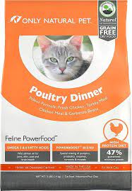 Pin On Cat Care