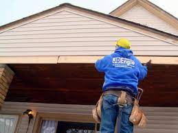 Our house was being destroyed by carpenter ants. Prime Video Rehab Addict Season 7