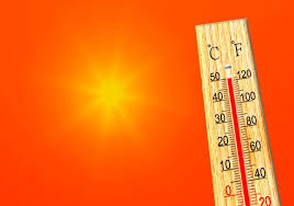 ️ du bist bereits deutschprofi, konntest dich aber an die öst. Fast 50 C Weltweit Horror Hitze Die Wetterextreme Nehmen Zu