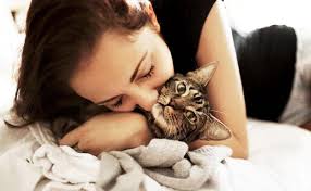 Allergy shots, sometimes called immunotherapy, gradually desensitize the immune system to particular allergens. Vaccine In Development Could Cure Cat Allergies Modkat