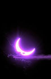 Aesthetic purple really pops when put up against bright greens and yellows, but it also pairs nicely with silver and gold. Neon Photography Explore Tumblr Posts And Blogs Tumgir