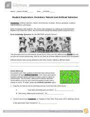 If anyone is willing to supply answers, thanks a bunch. Evolution Natural And Artificial Selection Student Exploration Docx Name Joanna Oriakhi Date Student Exploration Evolution Natural And Artificial Course Hero