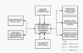 Persoane din conducere și persoane de contact. Document Embed