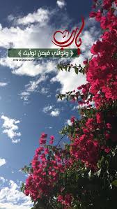 Muneera Mnooooora111 منورة منيرة صباح نور مساء دعاء صلوات محمد رمضان Types Of Flowers Neon Signs Poster