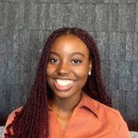 60+ "Adeleye" profiles