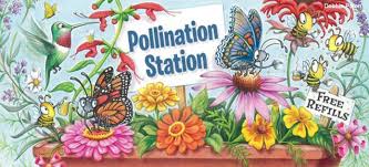 When Plants Meet Pollinators Everybody Wins Pollination Pollination Activity Pollinator Garden