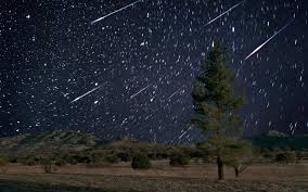 The Leonid Meteor Shower Will Light Up The Sky Monday Night Meteor Shower Astronomical Events Perseid Meteor Shower