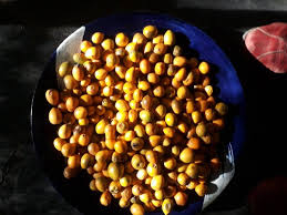 Image result for Grewia retinervis