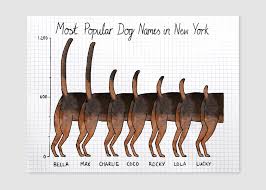 Mona Chalabi On Statistical Stand Up Play Doh And The