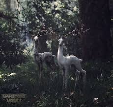 Nbsp A Plant Like Deer From The Movie Annihilation Area X In The Series Southern Reach Is A Secret Agency That Manages Exped Movie Art Movie Monsters Deer
