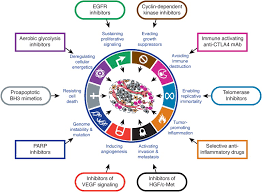 Causes flies and airborne insects are the main cause of the spread of this disease. Hallmarks Of Cancer The Next Generation Cell