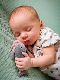 M Banka Photography added a new photo.