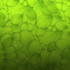 Check spelling or type a new query. Best Aesthetic Ipad Hd Wallpapers Ilikewallpaper