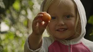 Awards — Ageless Gardens