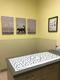 Animal hospitals offer general and emergency pet care services. St Francis Of Assisi Veterinary Medical Center Home Facebook