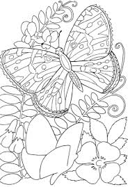 Disegno Di Pagina Da Colorare Con Farfalla Su Fiori Da Colorare