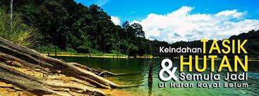Taman negeri royal belum, perak.pic.twitter.com/vzgismbaa1. Perbadanan Taman Negeri Perak Perak State Parks Corporation