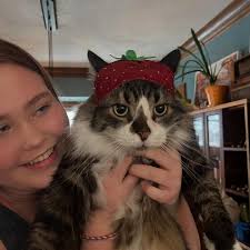 We had to say goodbye to our handsome, funny, and sweet buddy Pepite  yesterday. To say we'll miss him is an understatement. He was a huge part  of our family and it