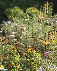 Le Jardin Des Poussins Lejardindespoussins On Instagram Mygarden Lejardindespoussins Monjardin Miogia Garden Plants Amazing Gardens Garden Inspiration