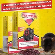 Lovepik provides 94000+ hamster picture photos in hd resolution that updates everyday, you can free download for both personal and commerical use. Jual Racun Tikus Mati Kering Ramtus Paling Ampuh Super Tidak Bau Original Alat Pembasmi Curut Got Mobil Rumah Siap Pakai Online Maret 2021 Blibli