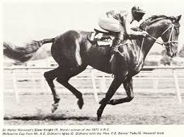 The Sport Horse Show And Breed Database Show Horses Sport Horse Horses