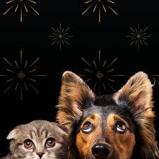 Survival Guide Pets And New Year S Eve Fireworks Pet Care Logo Pets Animals