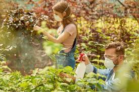 Vitamin e is an important antioxidant that people need to have healthy growing hair. How To Mix Neem Oil For Plants And Its Application Process Grower Today