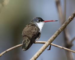 October | 2022 | Pat Beans blog