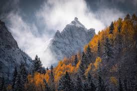 Anyone got photos of snow already this year?