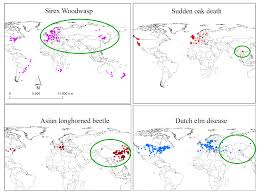Asian and citrus longhorn beetles field id guide. Insects Free Full Text Assessing Niche Shifts And Conservatism By Comparing The Native And Post Invasion Niches Of Major Forest Invasive Species Html