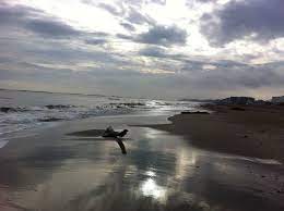 Winter To Cesenatico Adriatic Coast Spiagge Spiaggia Nuvole