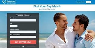If you like somebody who also likes your photo, then you'll be alerted that you have a match, and you'll be able to message your potential date. Top 5 Best Gay Dating Sites Top Gay Online Hookup Sites Lovely Pandas