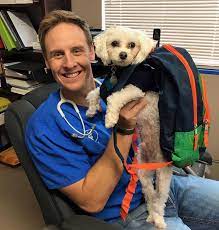 We did not find results for: Veterinarian Serving West Fork Fayetteville And Prairie Grove Ar Smithers Animal Hospital