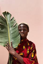 Image result for Gisekia africana