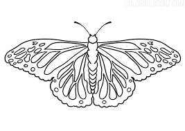 One of the most simple insect to color for your children. Free Printable Butterfly Coloring Page Coloring Books In 2021 Butterfly Coloring Page Butterfly Printable Coloring Pages