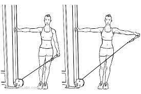 But the guillotine curl requires the upper arms to be positioned perpendicular to the torso with the shoulders flexed (arms forward with respect to the torso). Single Arm Cable Lateral Side Raise Cable Workout Cable Machine Workout Shoulder Workout