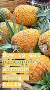 Pin On Bet You Didn T Know