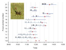 In those fihns, the rage virus does not exactly kill the infected; Behavioral Mechanisms And Morphological Symptoms Of Zombie Ants Dying From Fungal Infection Bmc Ecology Full Text