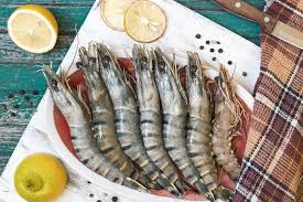 Креветки black tiger garnelen 13/15 ohne kopf ohne schale 36.70 € ~ 3 296.62 ₽. Garnelen Shrimps Eine Kleine Kaufhilfe Fisch Gruber